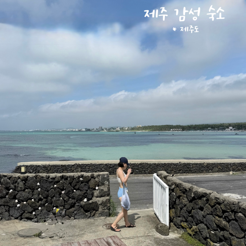 제주 금능해수욕장 숙소 제주도 감성 촌캉스 독채 에어비앤비 앙작시프로젝트