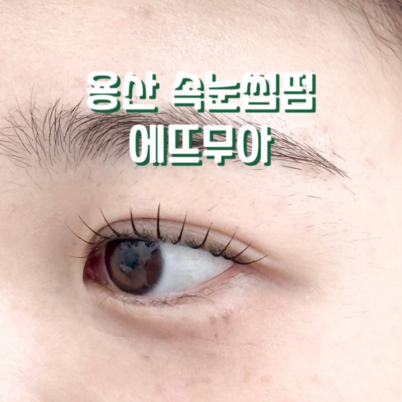 용산역 속눈썹펌 잘하는 곳 | 에뜨무아 블랙틴팅펌 후기
