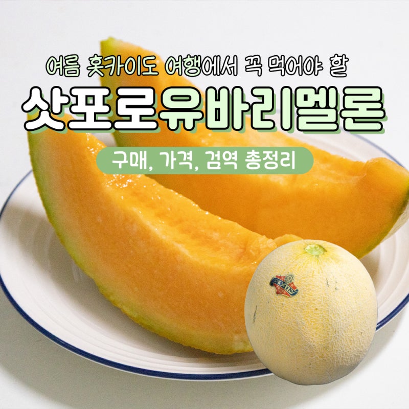 삿포로 유바리멜론 가격 국내반입 검역 후기