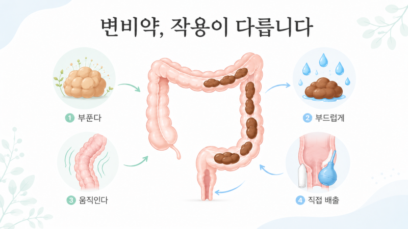 변비약 종류와 차이, 차전자피·마그네슘·비사코딜은 어떻게 다를까