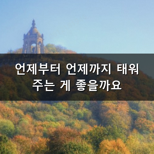 타이니러브 모빌 타이밍과 사용 팁