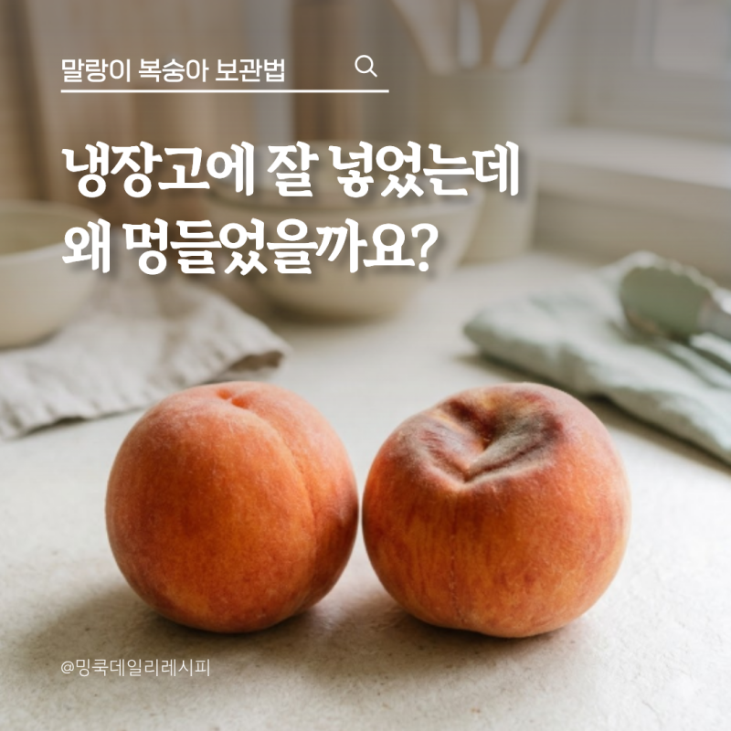 말랑이 복숭아 보관법, 3개씩 겹쳐 뒀다가 멍든 이유