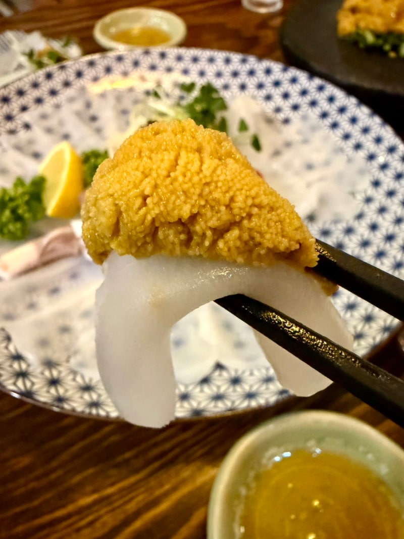 부산 수영구 술집 / 무늬오징어가 있는 맛있는 해산물 최강 이자카야 "나마사케"