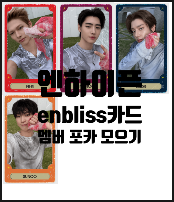 ENHYPEN Fans Actively Collect Sunoo Photocards for The Sin: Bliss Album