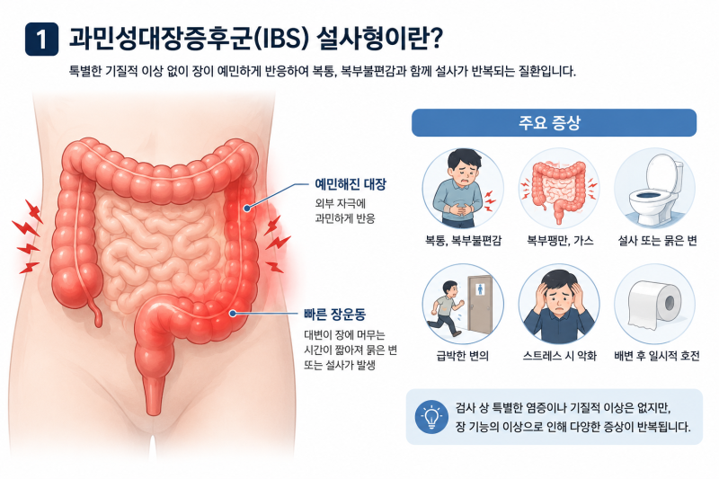 과민성대장증후군 설사, 지사제만 반복해서 먹고 있다면? 한약치료를 고려해야 하는 이유