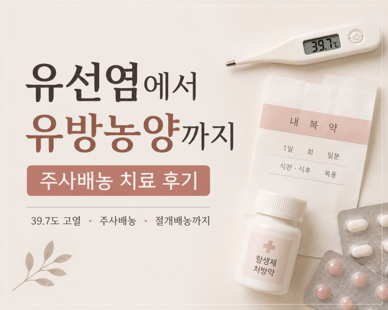 유선염에서 유방농양까지｜주사배농 후기, 결국 절개배농까지
