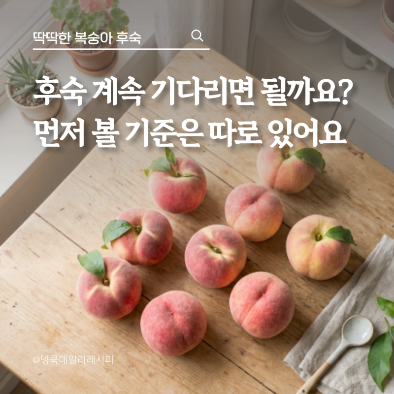 딱딱한 복숭아 후숙, 2일 뒀는데도 단단하다면 이걸 확인하세요