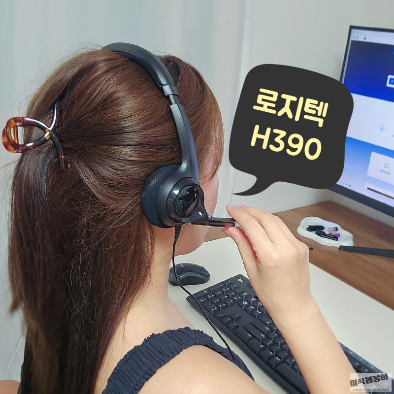 화상회의 헤드셋 추천 로지텍 H390 USB 유선 헤드셋 재택근무 필수품
