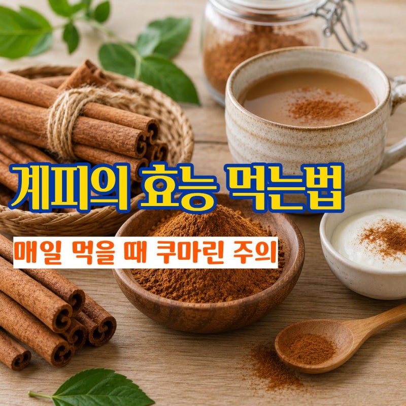 계피의효능 가루로 먹을 때 계피가루 먹는법과 부작용