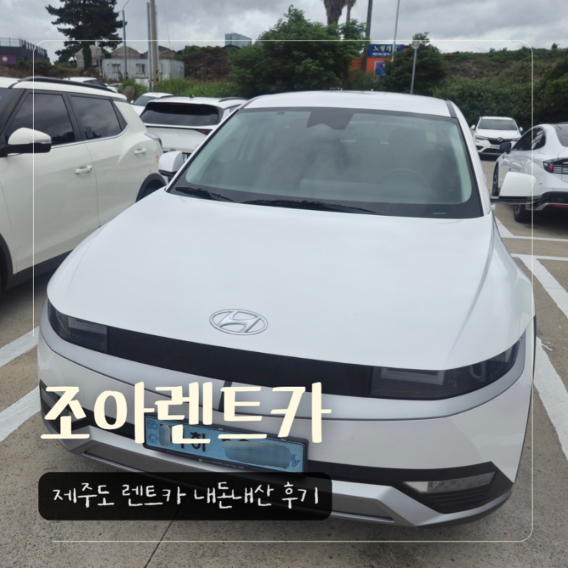 제주 렌트카 어디서 하지? 렌트카 업체 비교 및 조아렌트카에서 전기차 내돈내산 렌트 후기