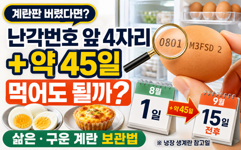 계란 유통기한 지났는데 먹어도 될까? 삶은·구운 계란 소비기한과 냉장 보관법