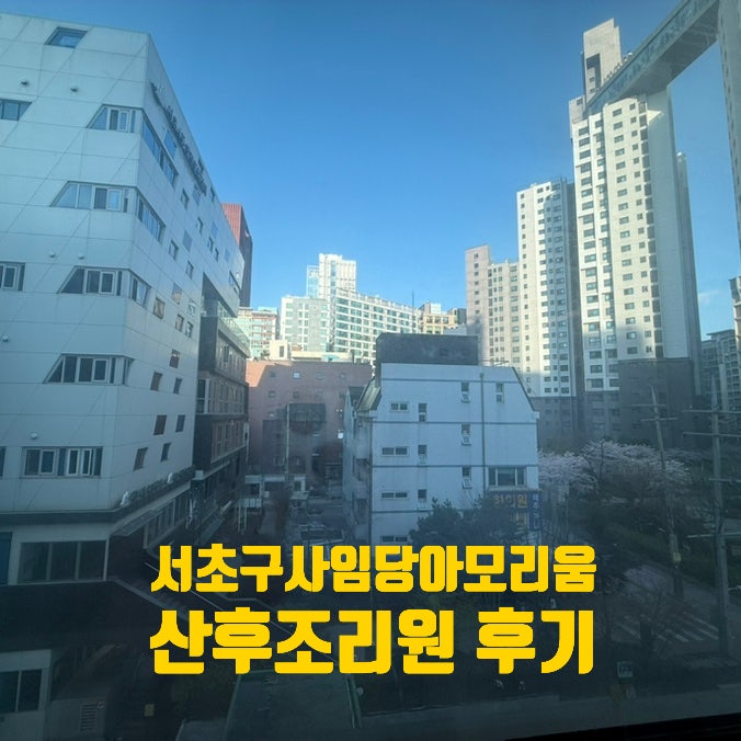 서초구 사임당아모리움 산후조리원 후기 (26년 4월+3주 이용)