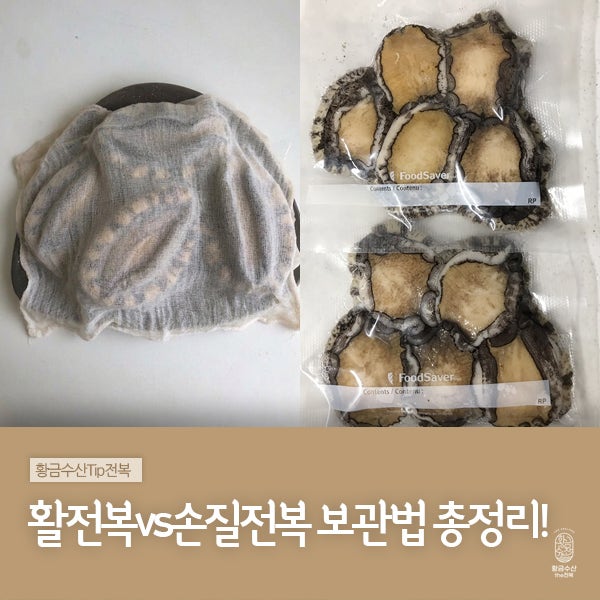 전복보관법, 활전복vs손질전복 전복양식업자가 깔끔하게 정리해드립니다!