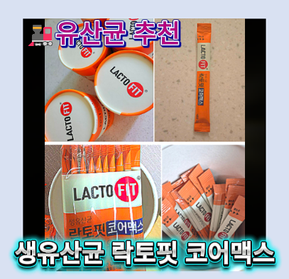 락토핏 코어맥스 달라진 점은? 락토핏유산균 유산균추천 이유 템플릿