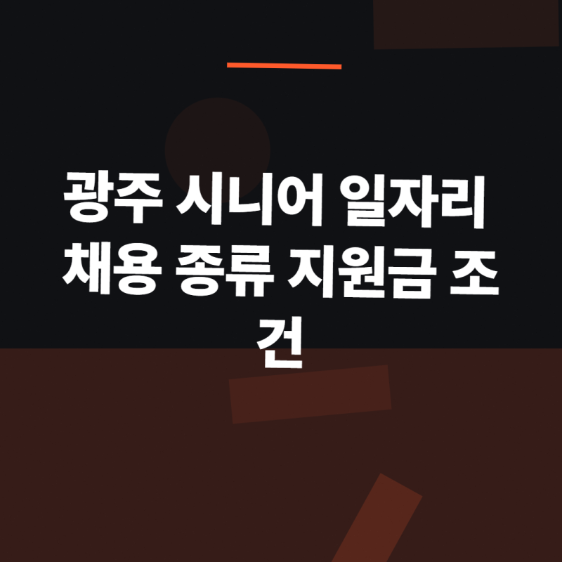 광주 시니어 일자리 채용 종류 지원금 조건