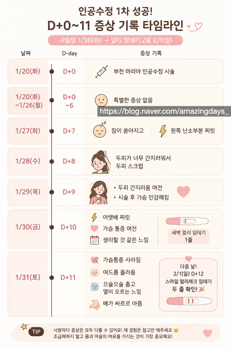 [인공수정 1차 성공] 병원 방문 횟수 및 증상 공유