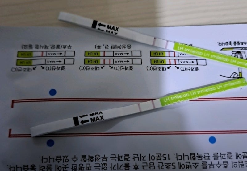 배테기 사용법 제대로 알아보기｜배란테스트기 언제부터 어떻게 해야 할까? (스마일리더앱....