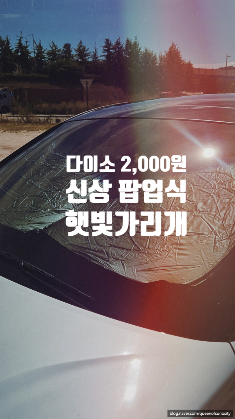 다이소 2,000원 신상 팝업식 햇빛가리개, 과연 쓸만할까요?☀️