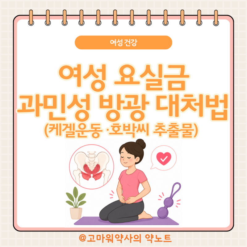 여성 요실금·과민성 방광 약사가 정리, 케겔 운동부터 호박씨추출물까지