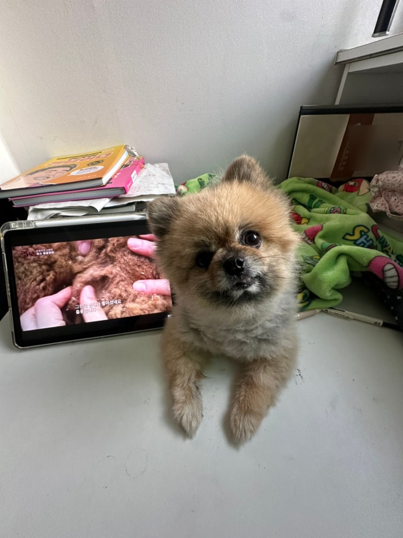 인생 노잼시기