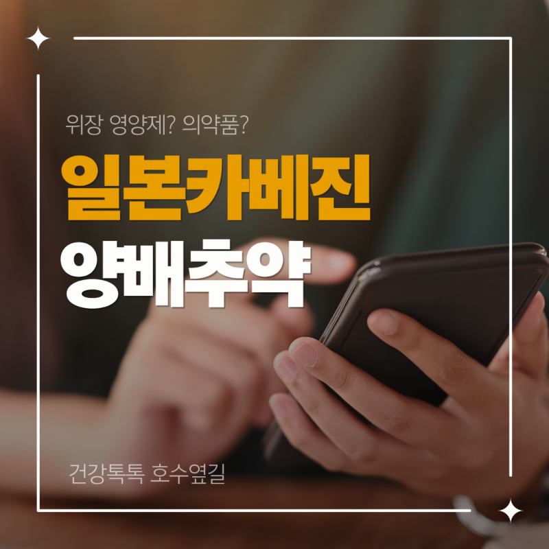일본 카베진을 양배추 영양제처럼 생각했다면 확인해야 하는 것