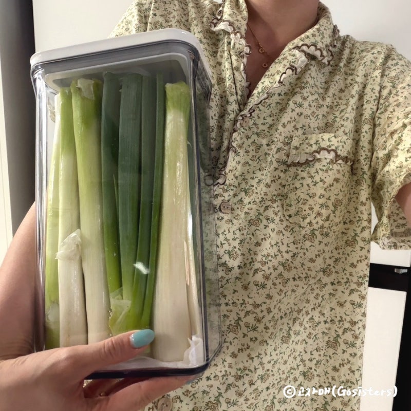 바퀜 진공용기 마하 채반 사용 후기 / 다이소 밀폐용기와 차이점