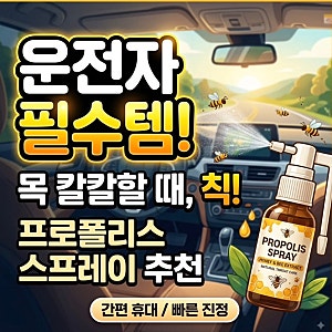 올리브영 프로폴리스 스프레이 장거리운전러들의 필수템!