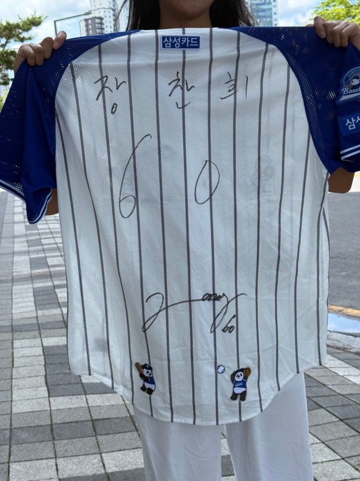 대전 야구장 <b>한화이글스</b> 대전<b>한화</b>생명 볼파크 113좌석 삼성 직관 승....