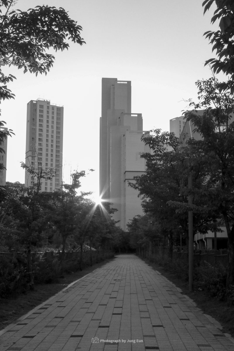 루믹스 DMC LX-7 작례