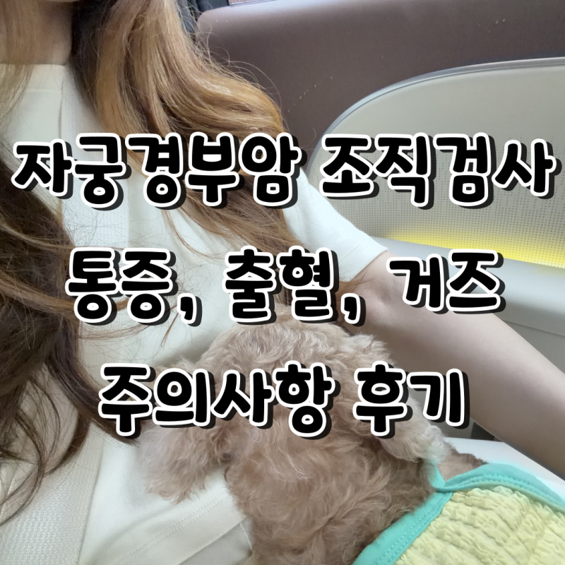 자궁경부암 조직검사 후 통증 후기, 출혈로 인한 엉거주춤자세 주의사항