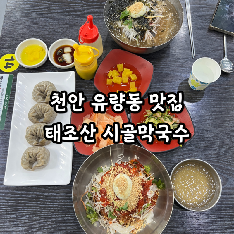 천안 유량동 맛집 ‘태조산 시골막국수’ 다녀온 후기