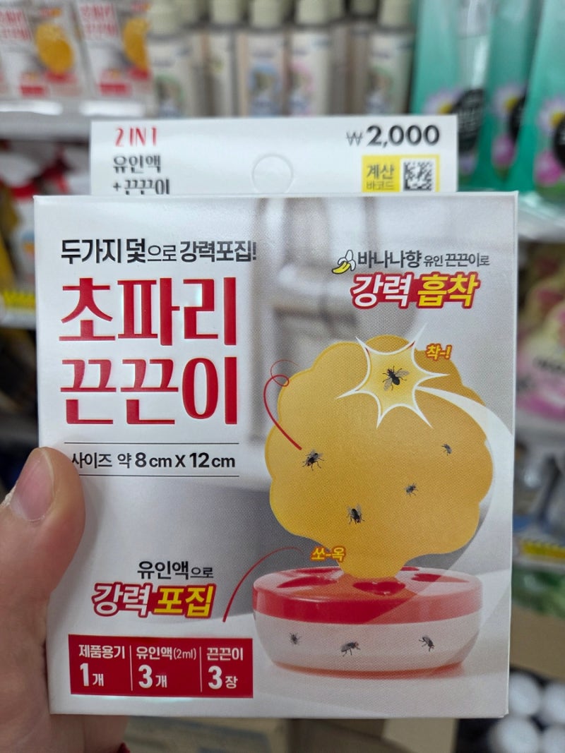 다이소 초파리 트랩 끈끈이 유인제 종류 강추 제품
