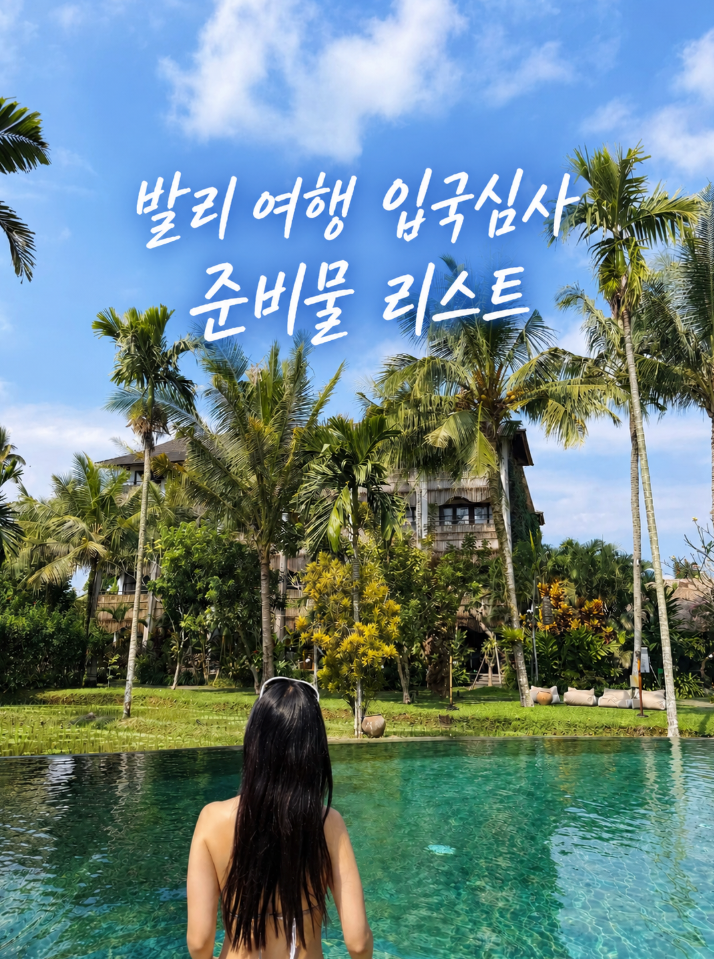 발리 입국신고서 작성 방법 입국심사 여행준비물 리스트 유심 이심 환전 인도네시아 비자 관....