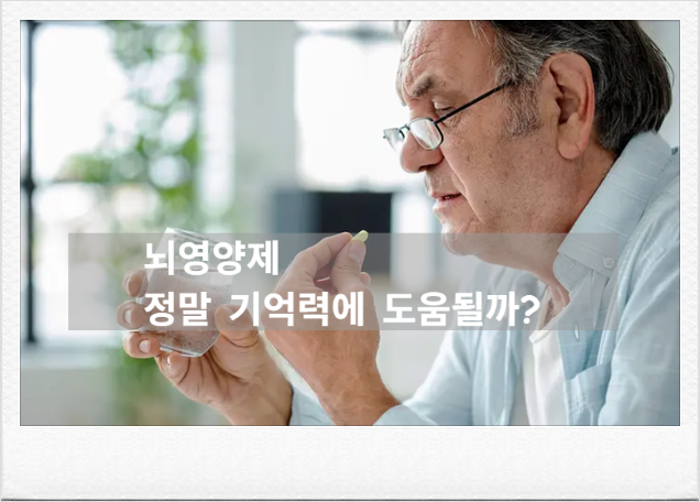 뇌 영양제 진짜 효과 있을까? 연구로 입증한 성분과 영양제 선택시 주의사항