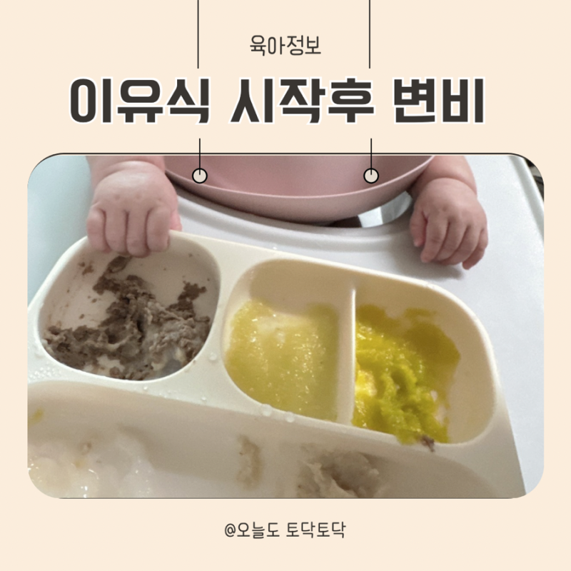 이유식 시작 후 변비가 생겼다면? 아기 변비 원인과 해결 방법