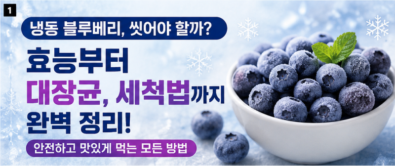 냉동 블루베리, 씻어야 할까? 효능부터 대장균, 올바른 세척법까지 완벽 정리!