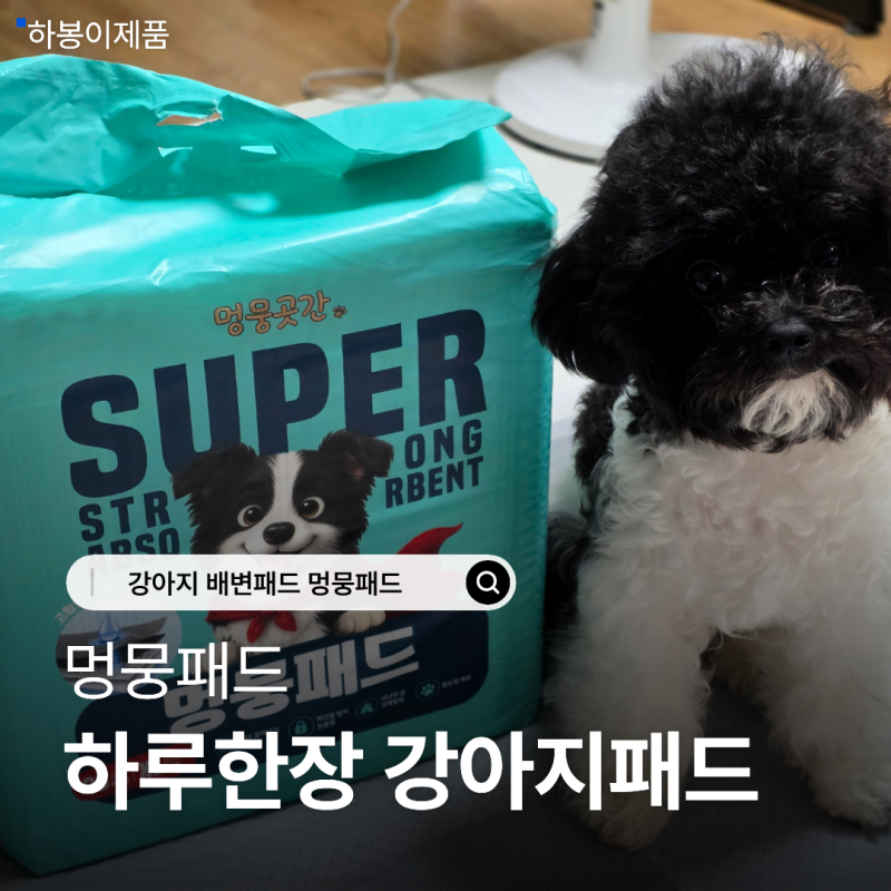 강아지 배변패드 멍뭉패드 써보니 발도장 걱정이 줄었어요