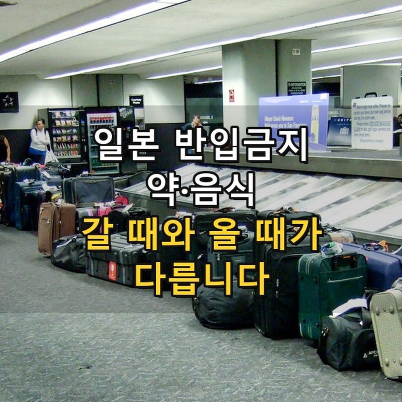 일본 반입금지 약·음식 총정리 2026 - 갈 때 걸리는 감기약, 올 때 걸리는 이브·파브론 (8월 12....