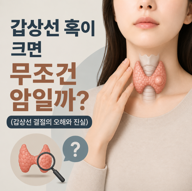 갑상선 혹이 크면 무조건 암일까? (갑상선 결절의 오해와 진실)