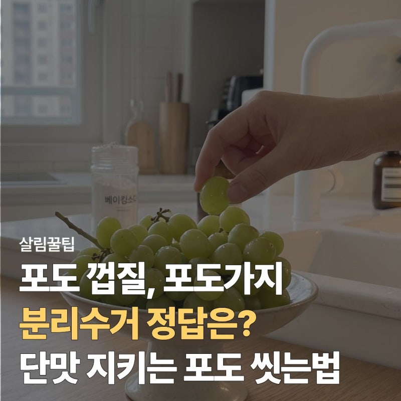 포도껍질 분리수거 일반 쓰레기일까? 단맛 지키는 포도 씻는 법까지 정리