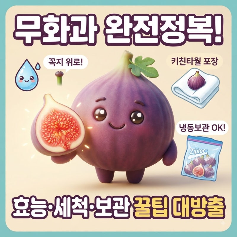무화과 효능부터 세척방법, 껍질 채 먹는 법과 오래 보관하는 냉동 보관법 주의사항까지 총....