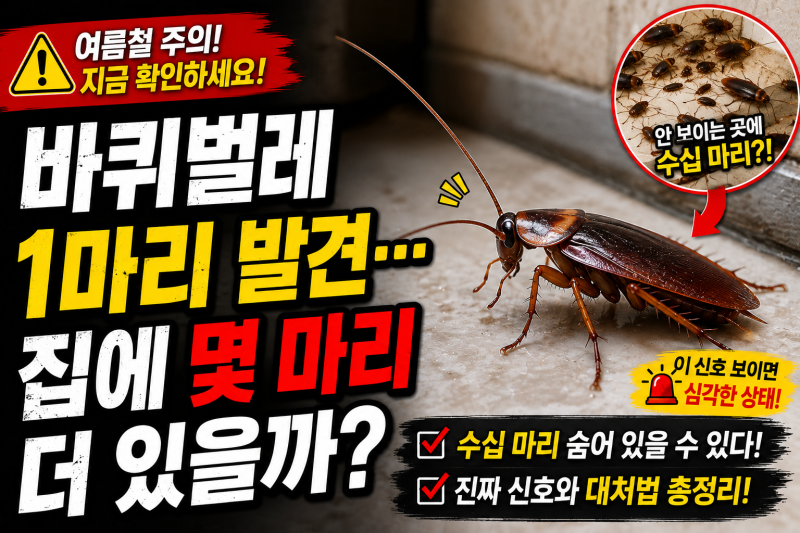 집에 바퀴벌레 한 마리 나오면 이미 수십 마리 있을까? 진짜 확인해야 할 신호