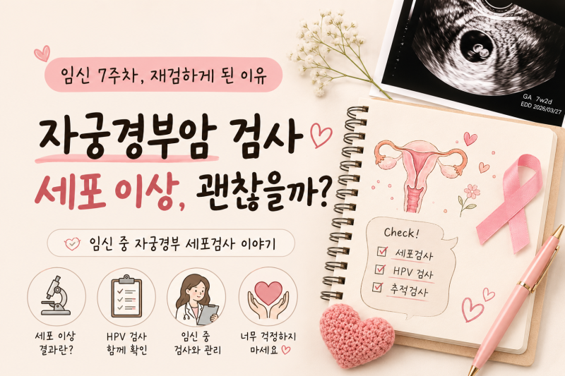 임신 중 자궁경부암 검사 세포이상｜ASC-US 결과, HPV 검사와 재검 이야기