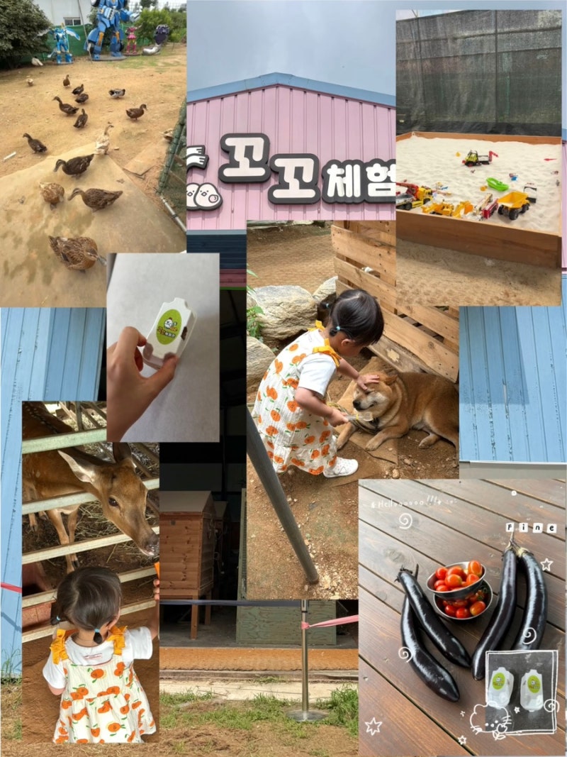 일산 꼬꼬체험관 :: 고양 파주 주말 나들이 두돌 아기와 가볼만한 곳(가격, 주차, 동물먹이주....