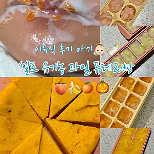 엄마가 직접 만들어주는 유기농 과일 퓨레_아기 단호박빵 레시피_아기 바나나퓨레_감규퓨레_....