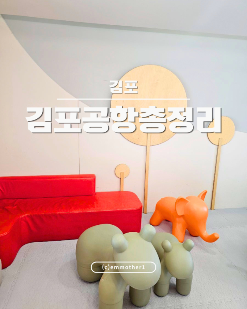 김포공항 국내선 아기 강아지 동반 제주행 수속 동선 꿀팁 총정리