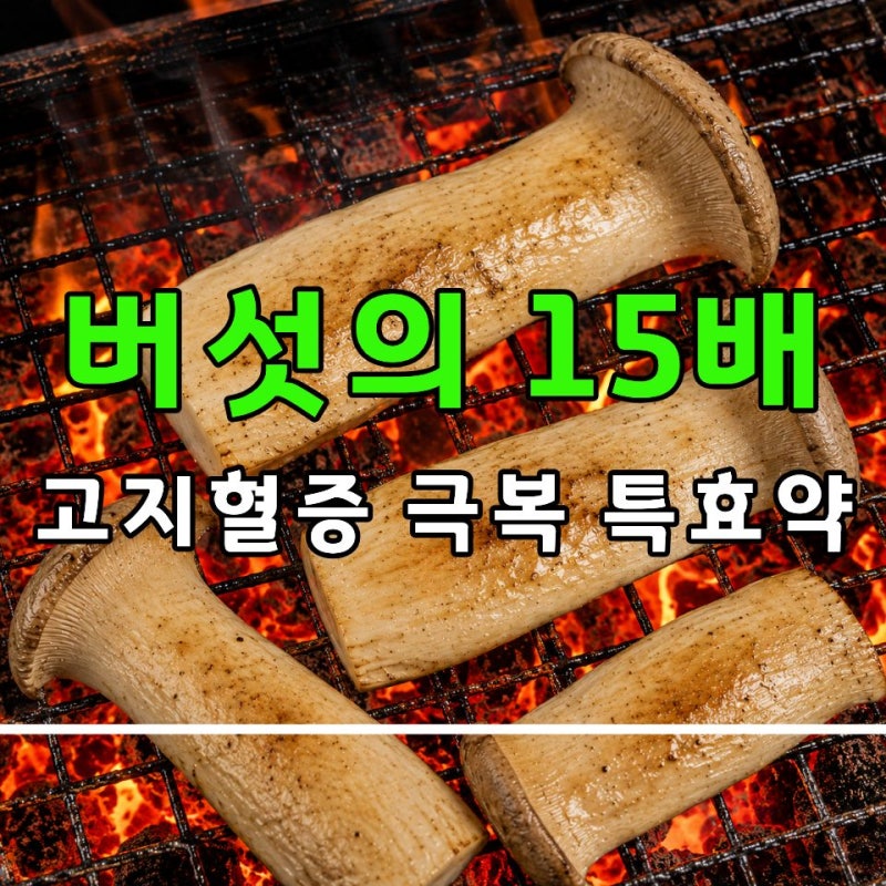 콜레스테롤 걱정하면서 고기만 줄였다면? 놓치기 쉬운 식단 포인트 ※고지혈증에 좋은 음식....