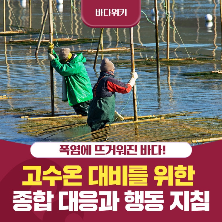 뜨거운 여름 바다! 고수온·폭염 종합 대응 및 행동 지침