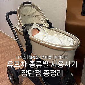 유모차 사용시기 디럭스 절충형 휴대용 트라이크 언제부터? 장단점 총정리