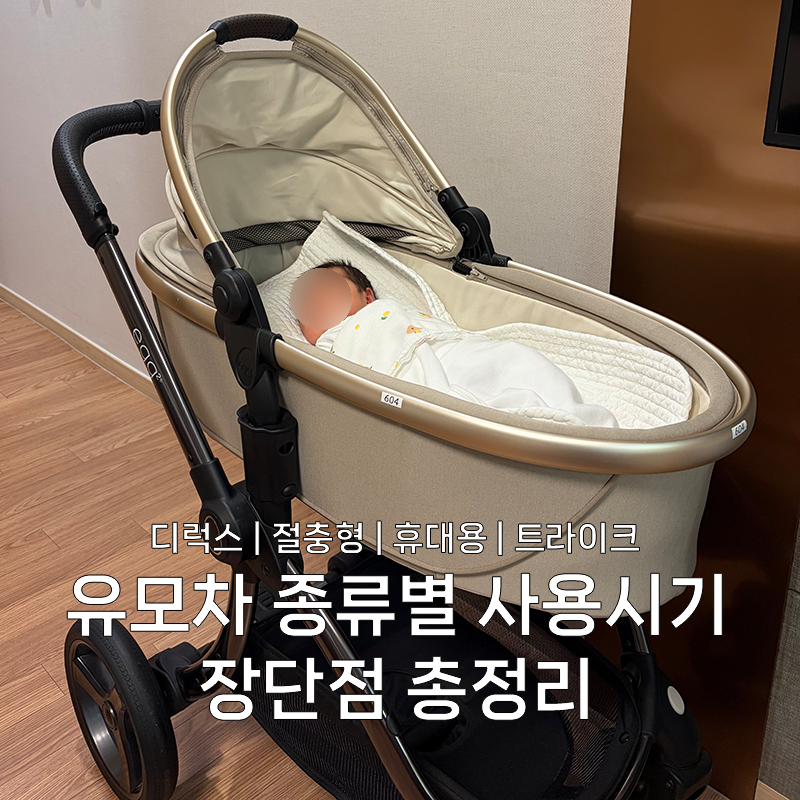 유모차 사용시기 디럭스 절충형 휴대용 트라이크 언제부터? 장단점 총정리